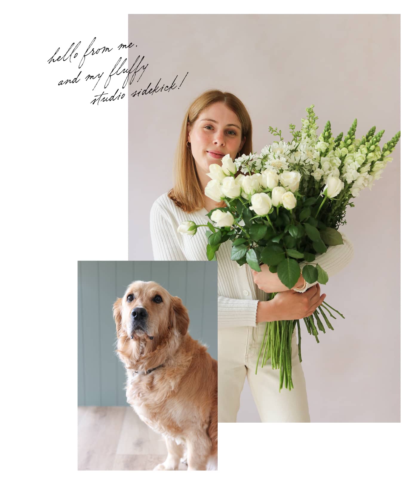A collage of two images, one of a florist holding a bundle of white and green flowers. The second image is of a golden retriever sitting on a wooden floor.