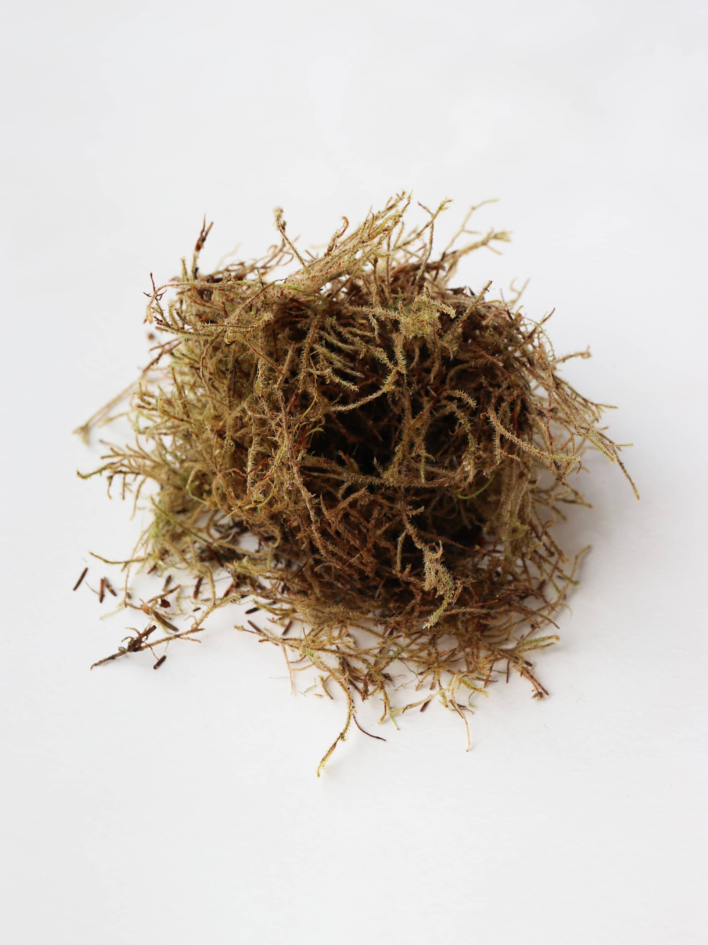 A small pile of sphagnum moss for Christmas wreath making on a neutral background.