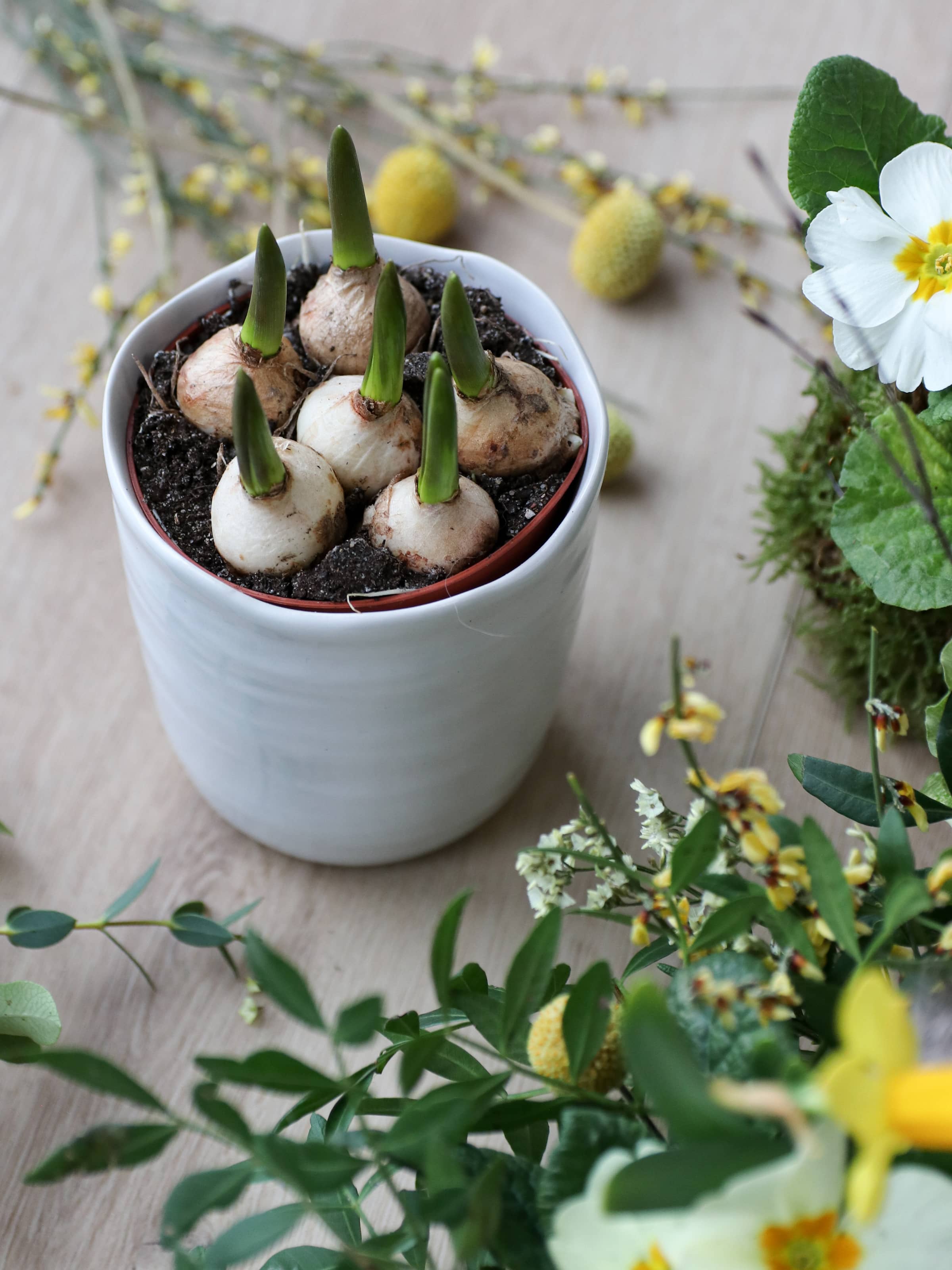 Easter Spring Wreath Workshop - Sunday 29th March 2026