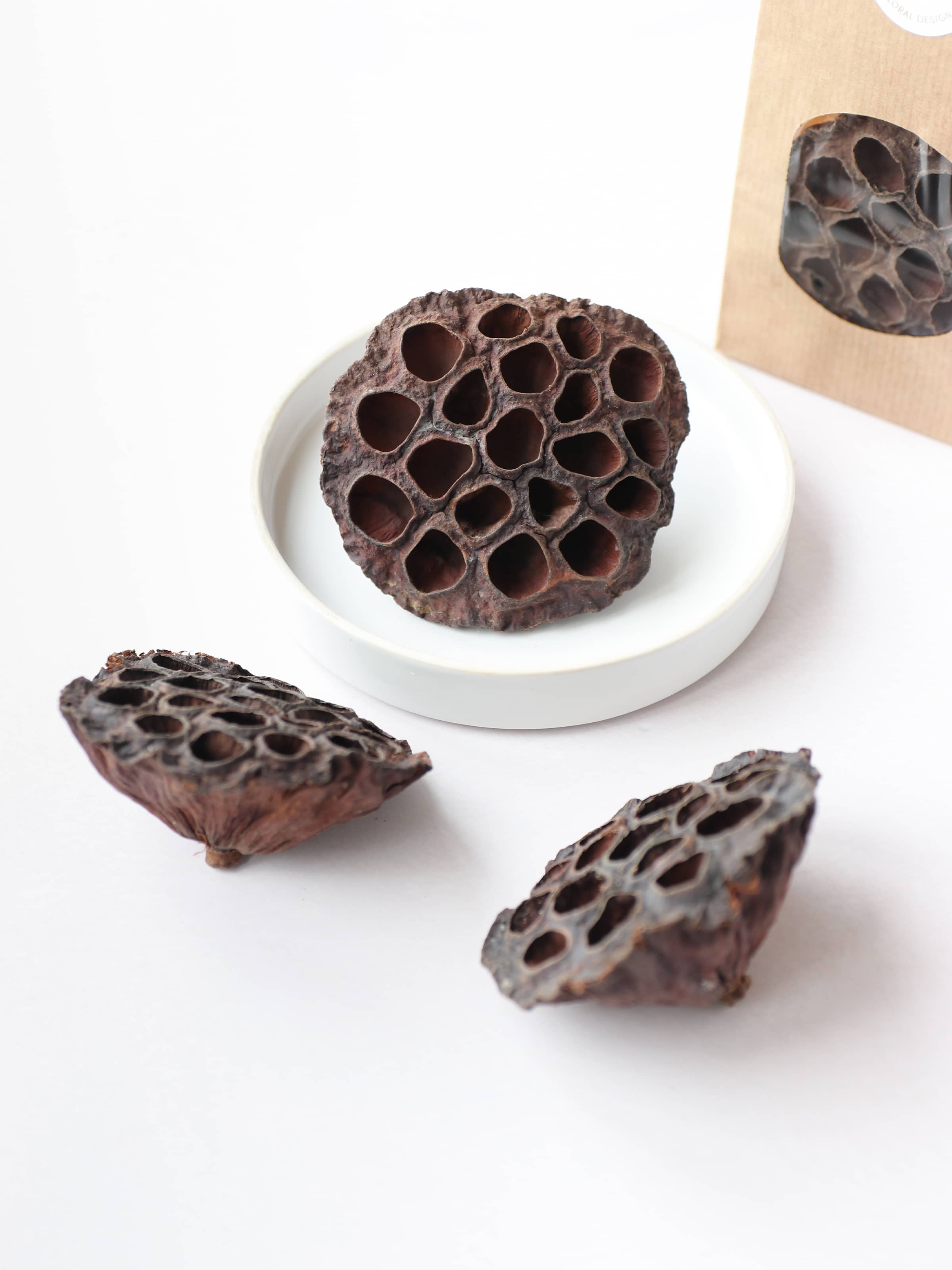 Three dried brown lotus seed pods for Christmas wreath making, styled around a white decorative bowl on a neutral background. There is a brown kraft bag of lotus seed pods in the background.