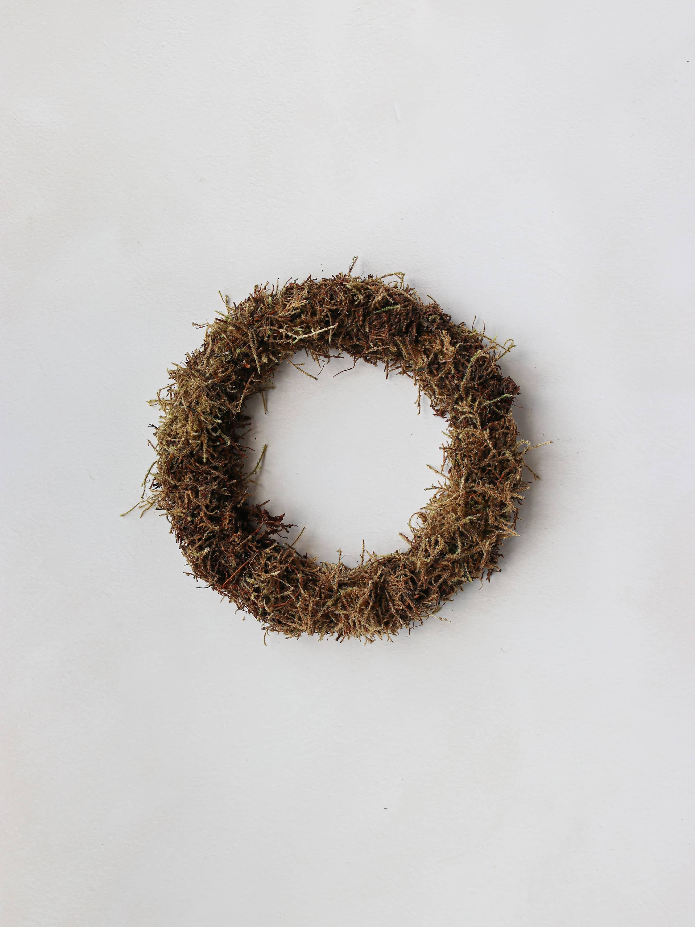 A small mossed wreath base on a neutral background.