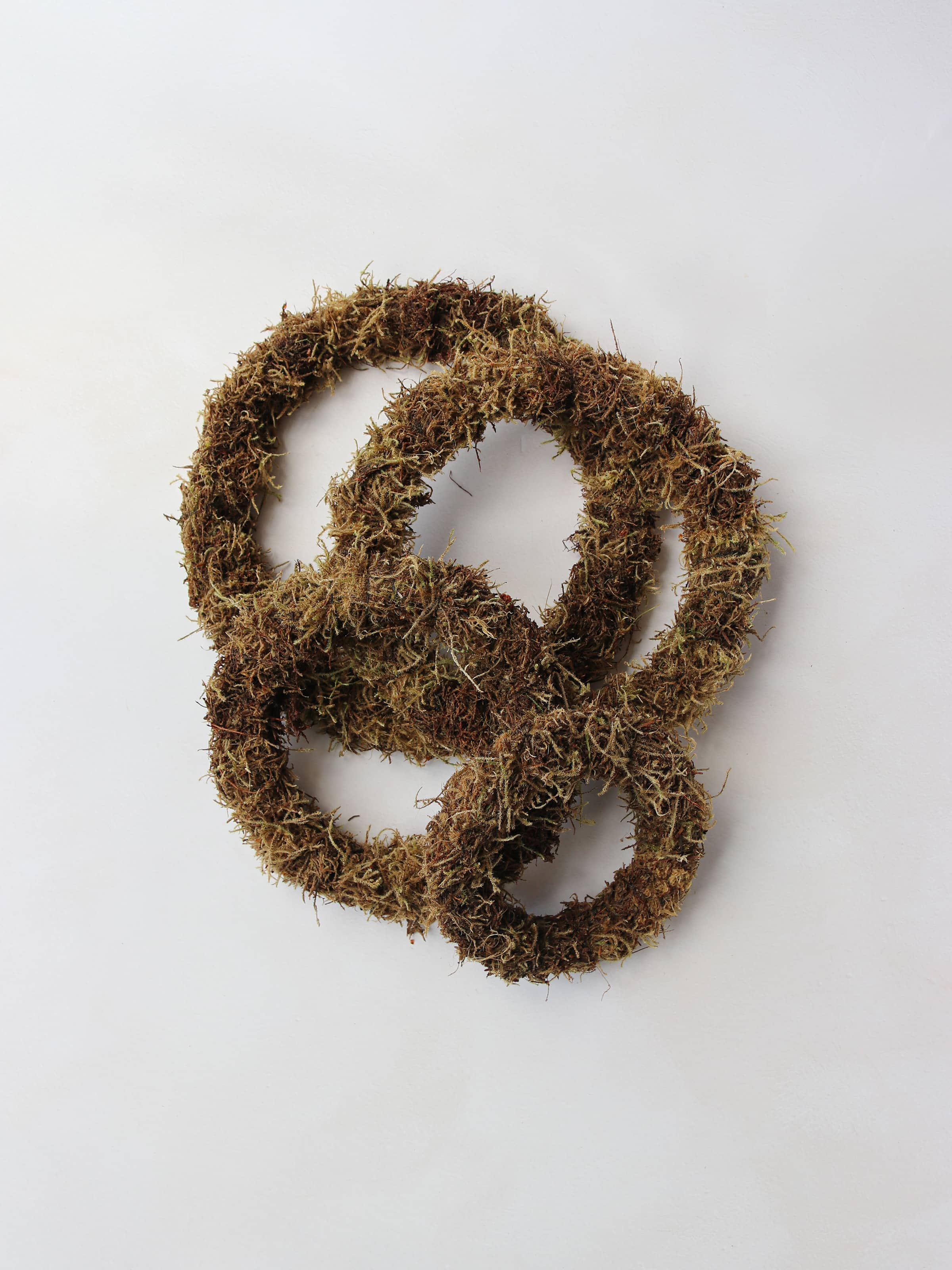 A stack of mossed wreath bases in various sizes on a neutral background.