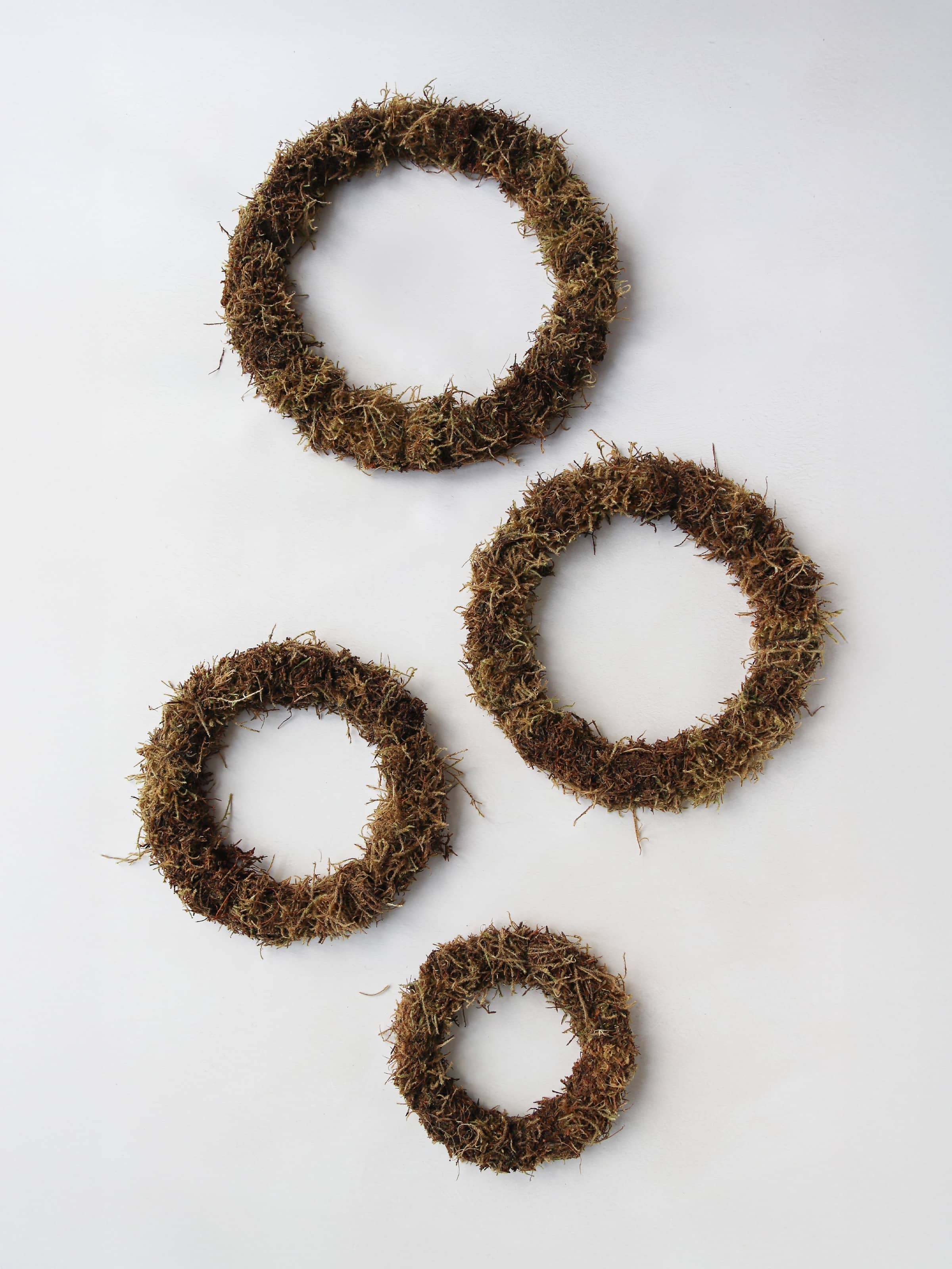 Four mossed wreath bases in varying sizes lying on a neutral background.