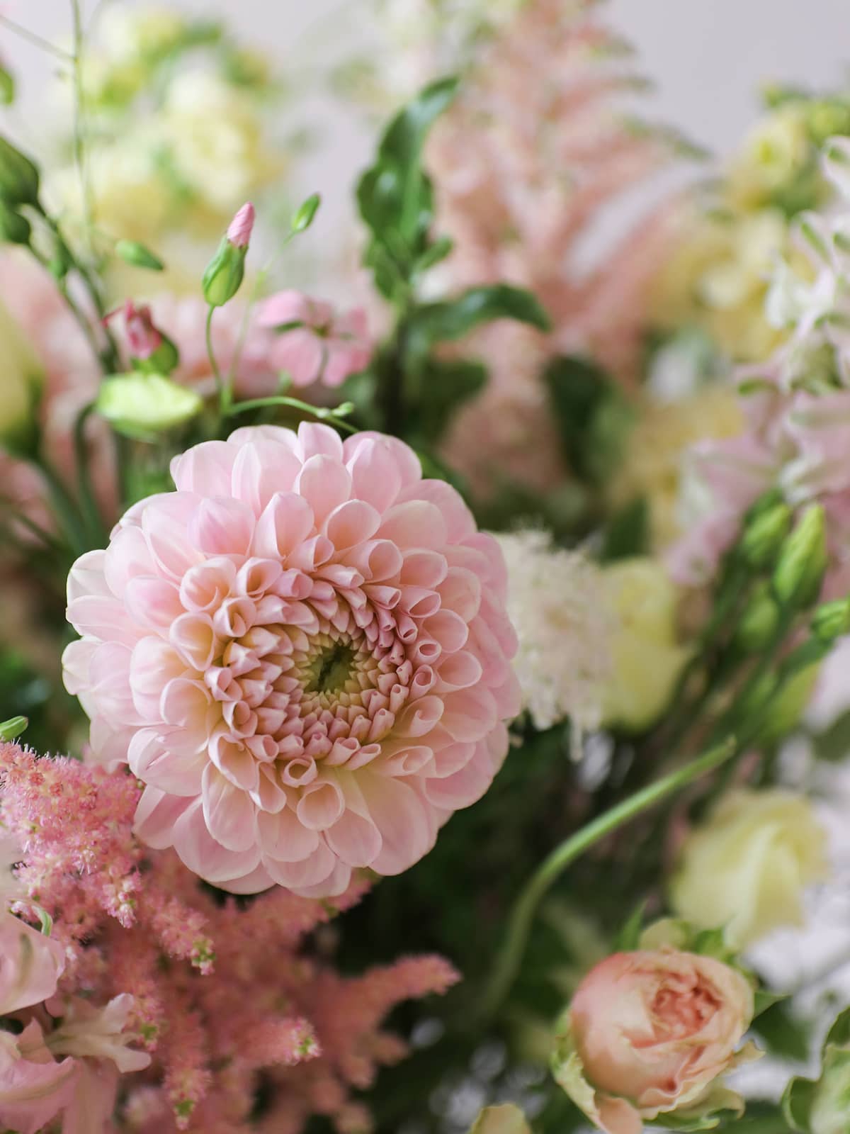 Close-up of a bouquet with pink and green flowers