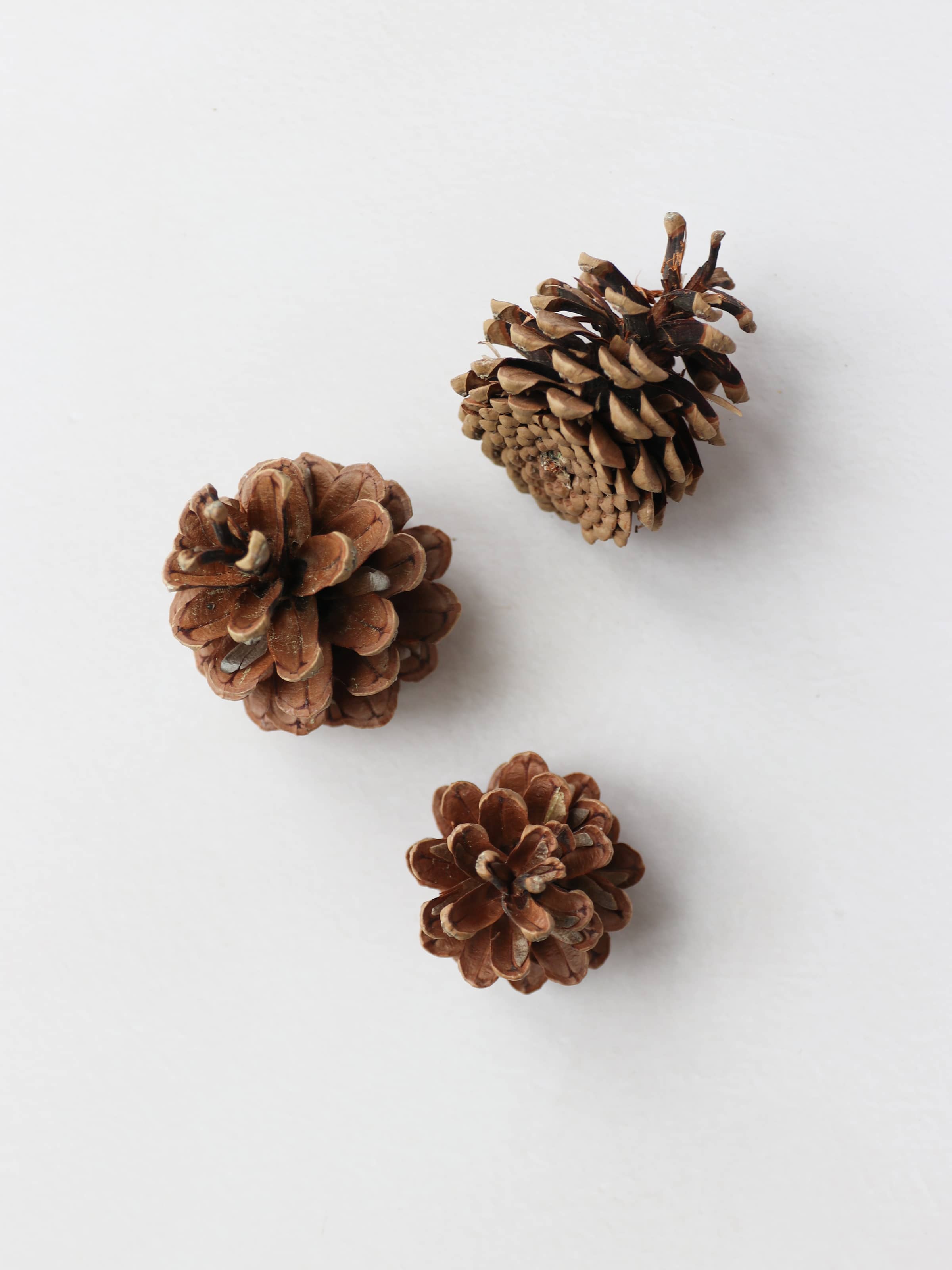 Three brown pine cones for Christmas wreath making, sitting on a white surface.
