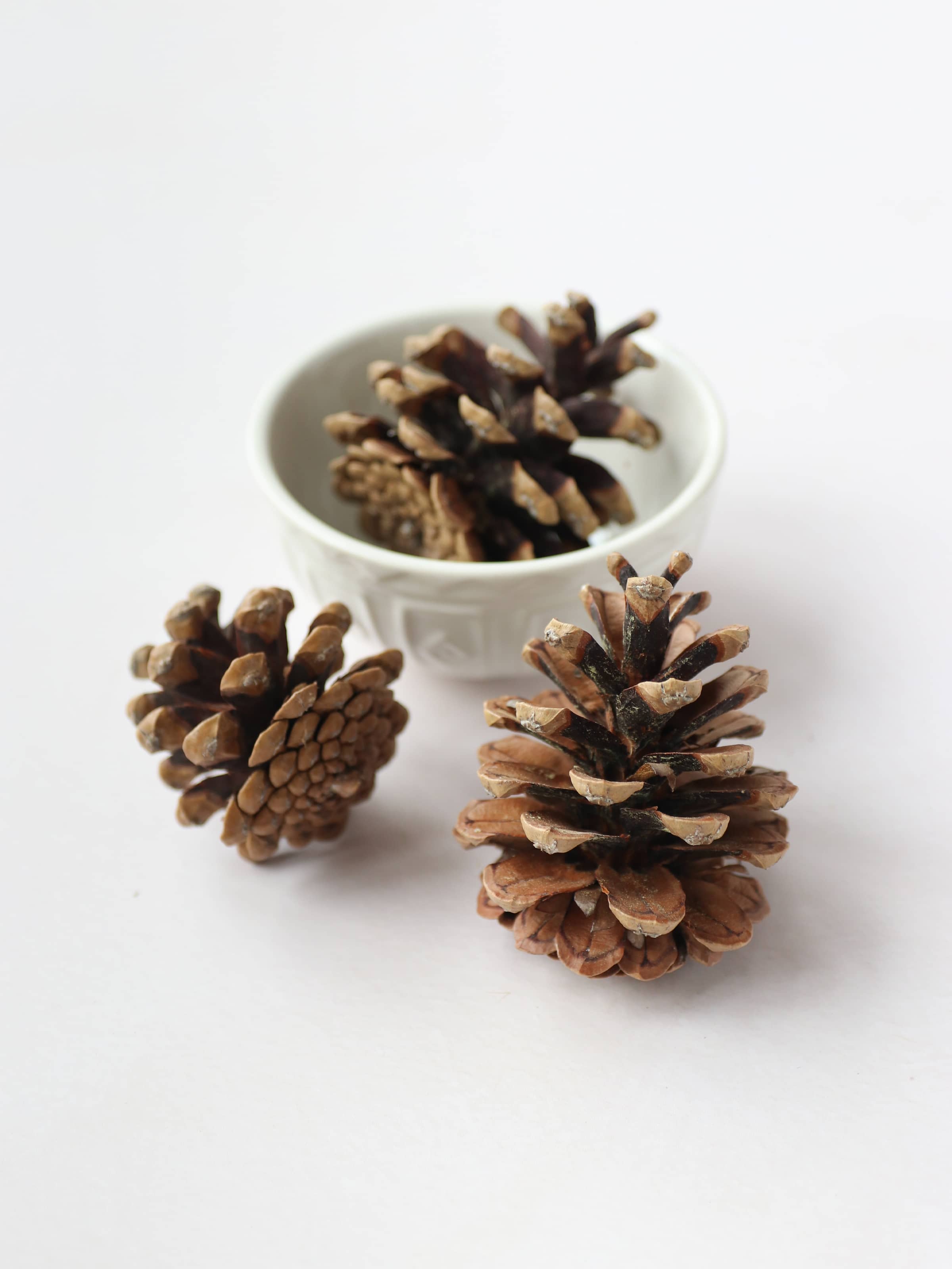 Three brown pine cones for Christmas wreath making, sitting on a white surface with a small cream bowl.