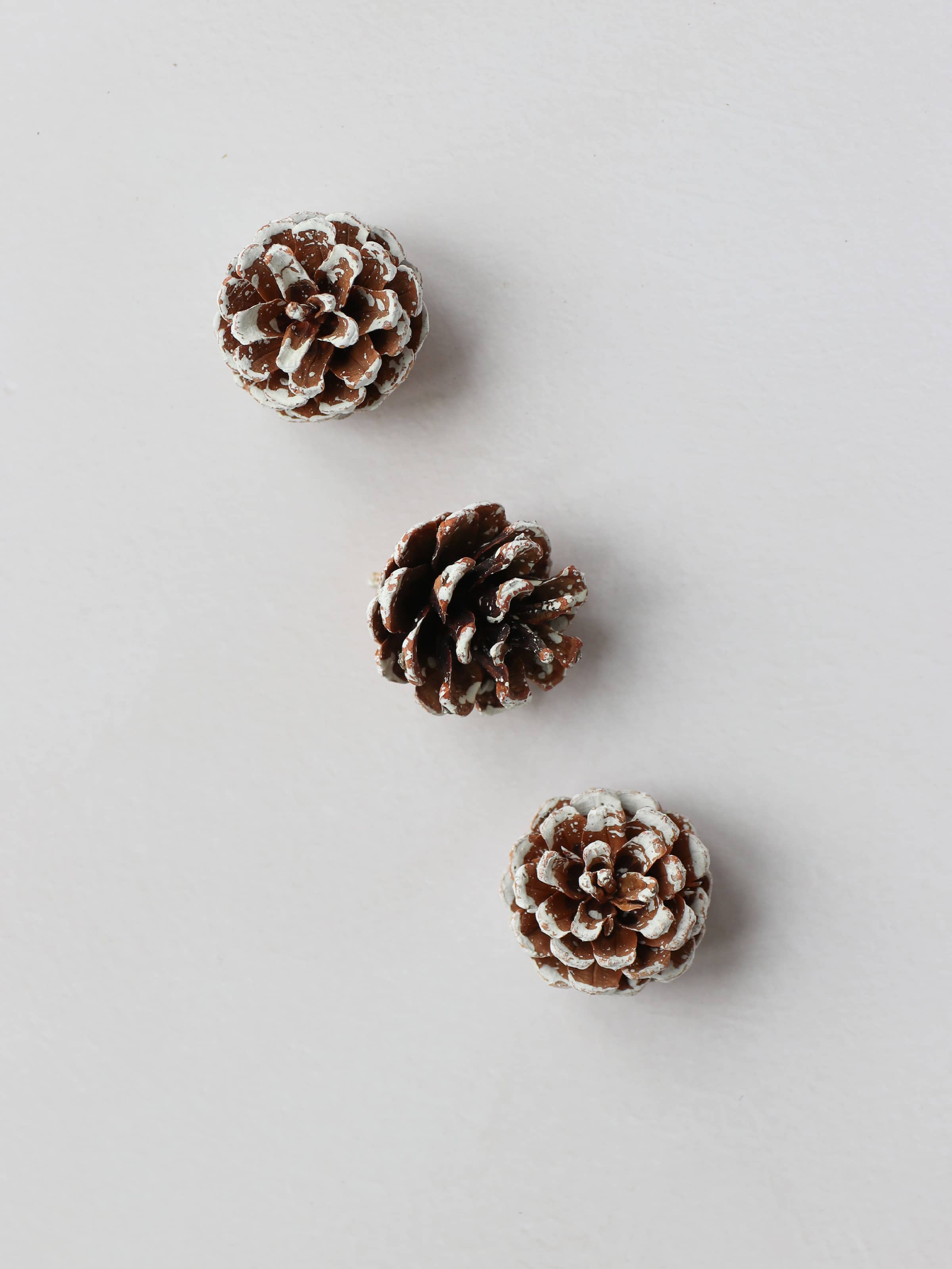 Three snow covered pinecones positioned in a diagonal row, sitting on a light neutral background.