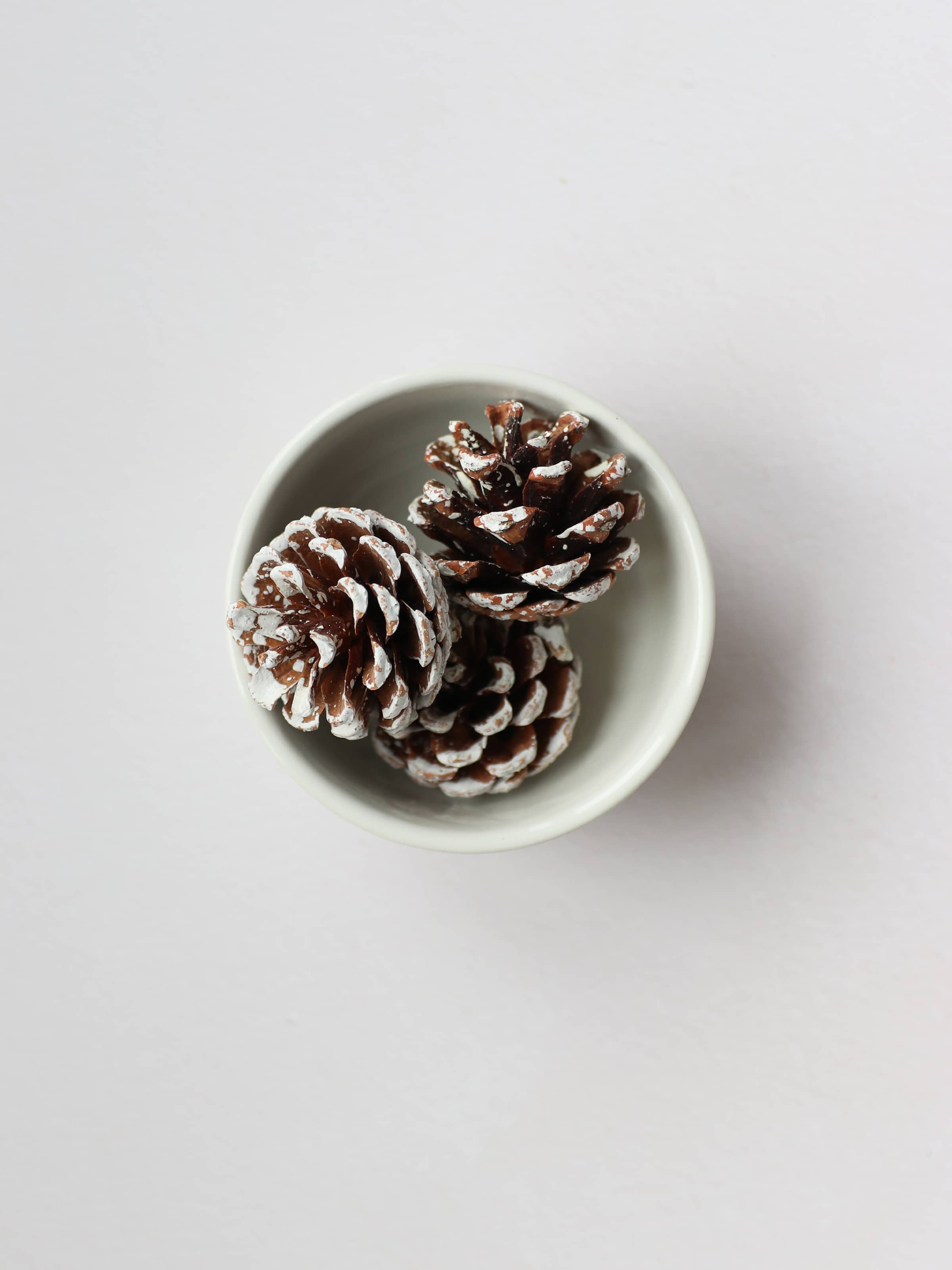 A top view of three snow covered pinecones in a small cream bowl, sitting on a light neutral background.