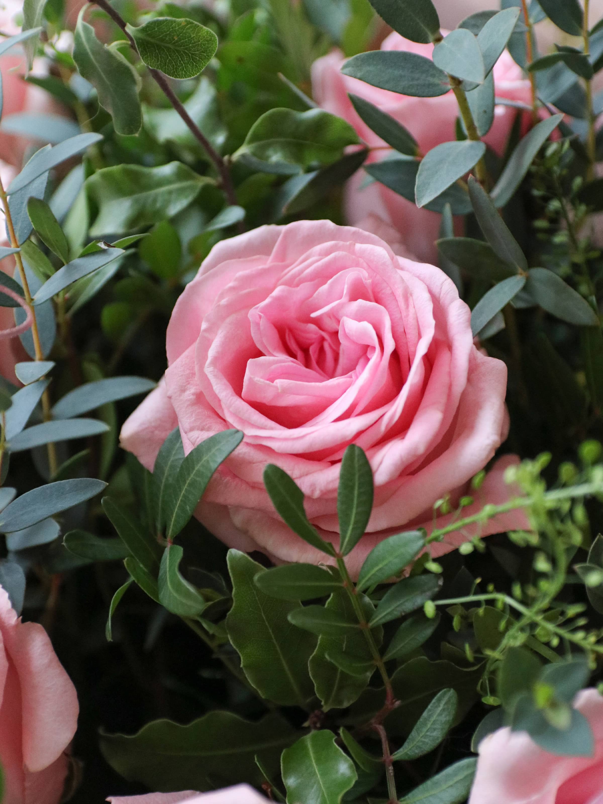 Valentine's Day Luxury Pink Rose Bouquet