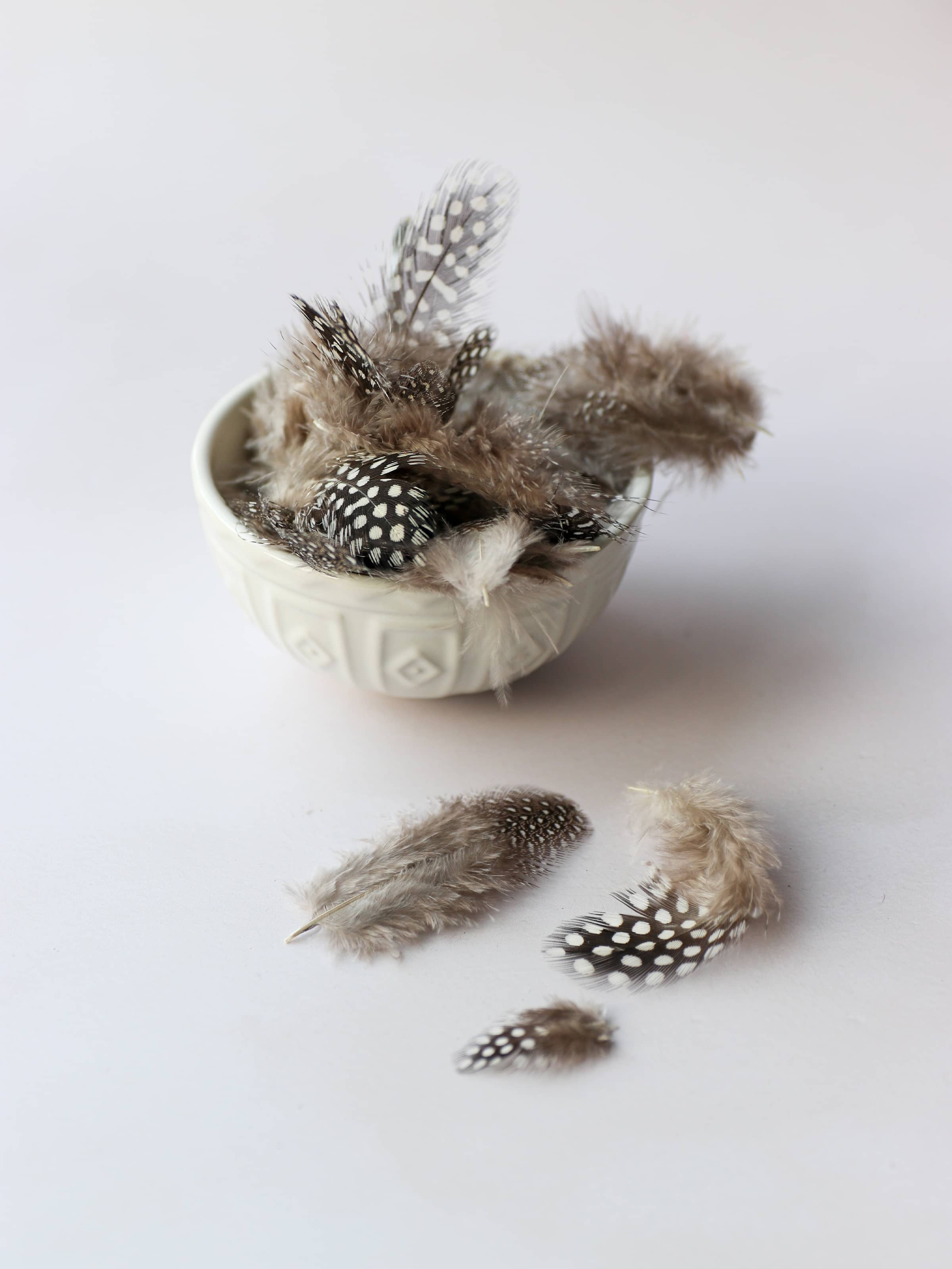 Speckled Pearl Hen Feathers