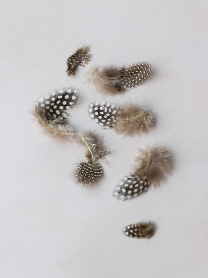 Speckled Pearl Hen Feathers