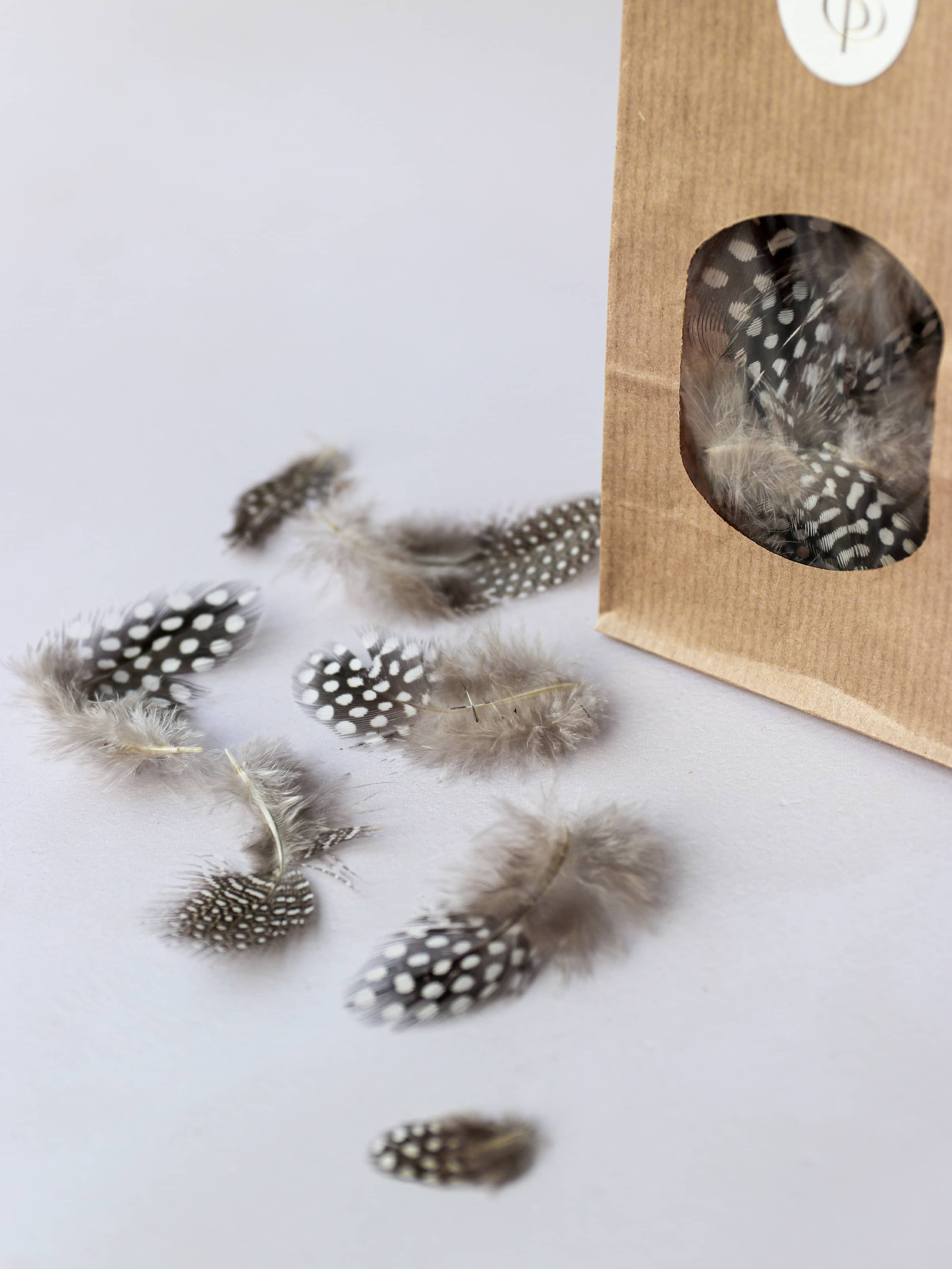 Speckled Pearl Hen Feathers