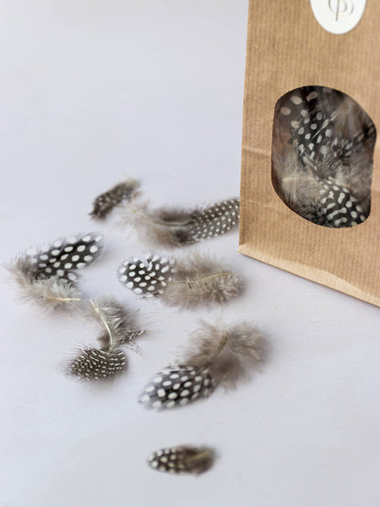 Speckled Pearl Hen Feathers