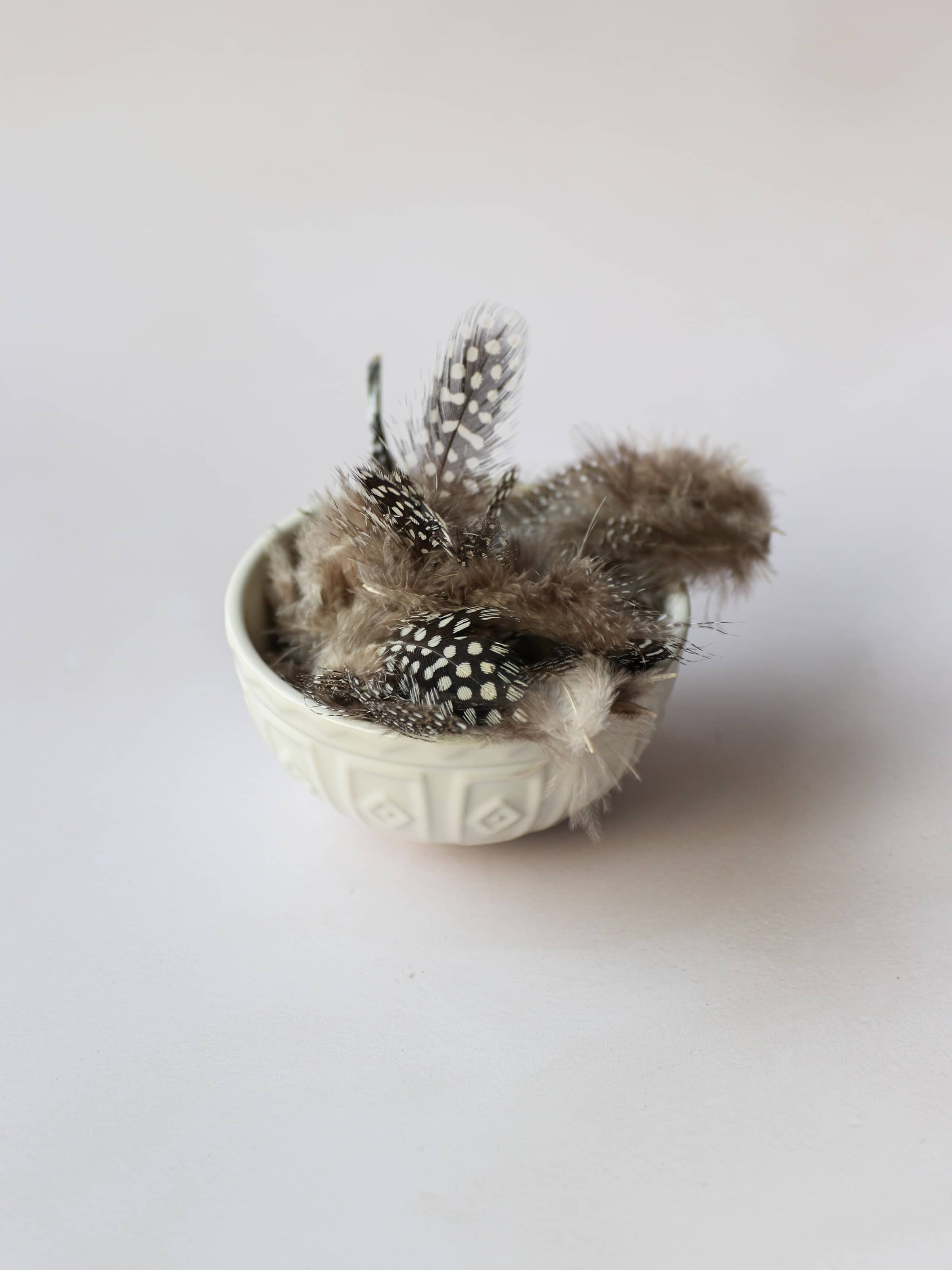 Speckled Pearl Hen Feathers