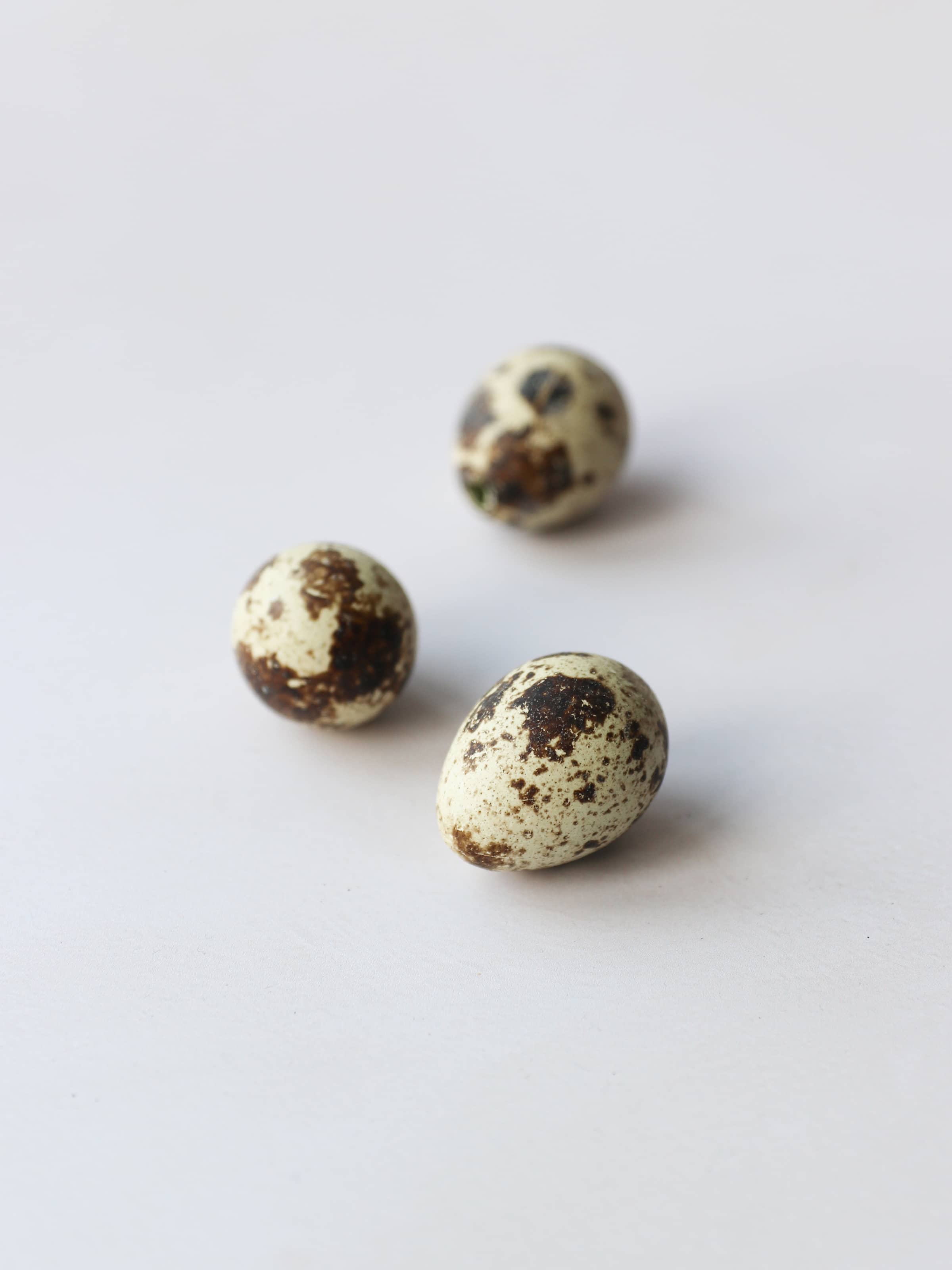 Speckled Decorative Quail Eggs