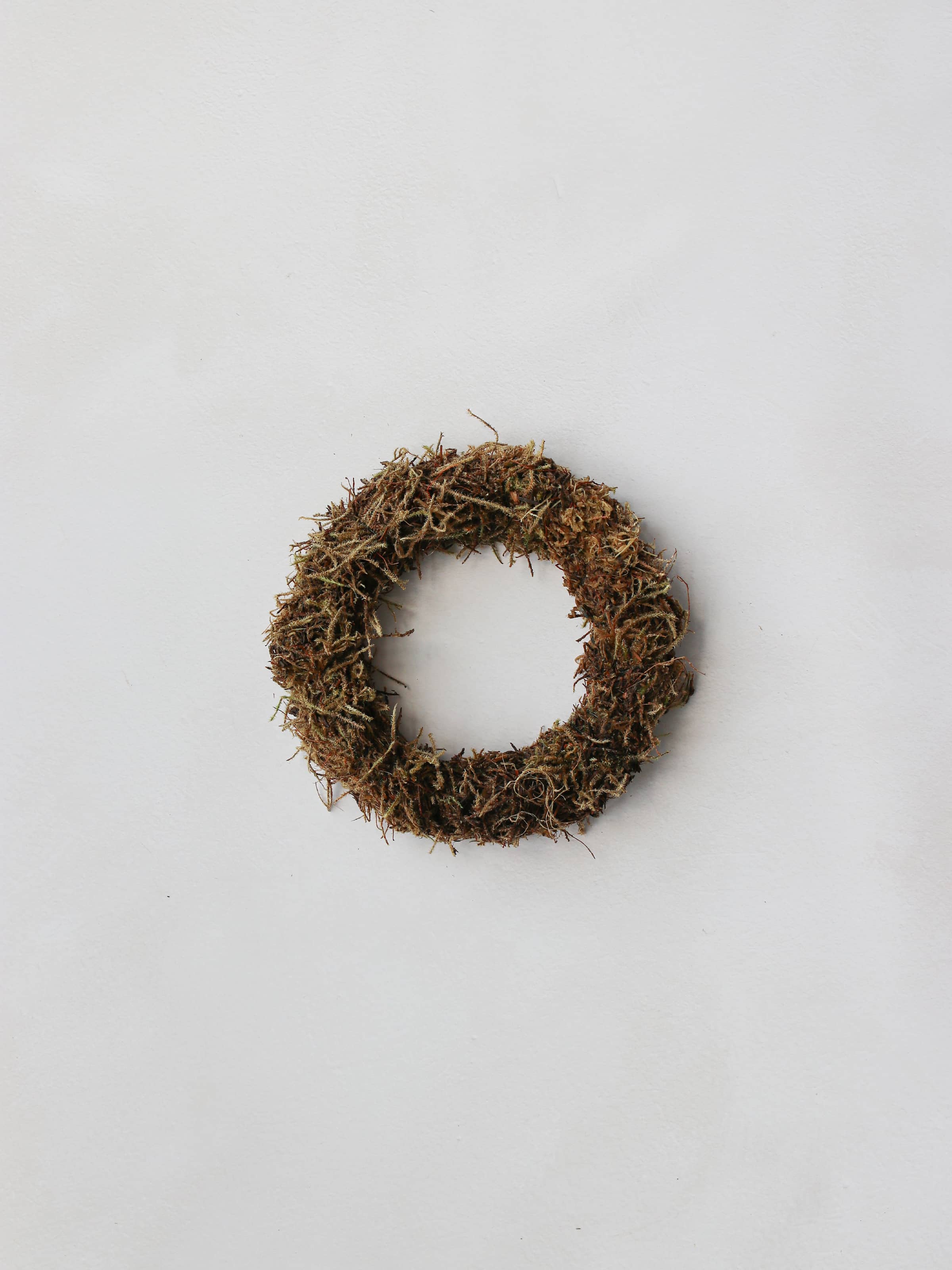 A small mossed wreath base on a neutral background.