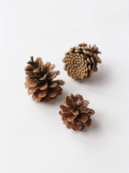 Three brown pine cones for Christmas wreath making, sitting on a white surface.