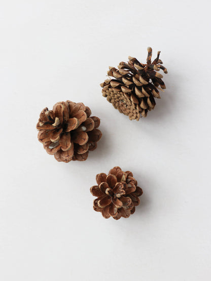Three brown pine cones for Christmas wreath making, sitting on a white surface.