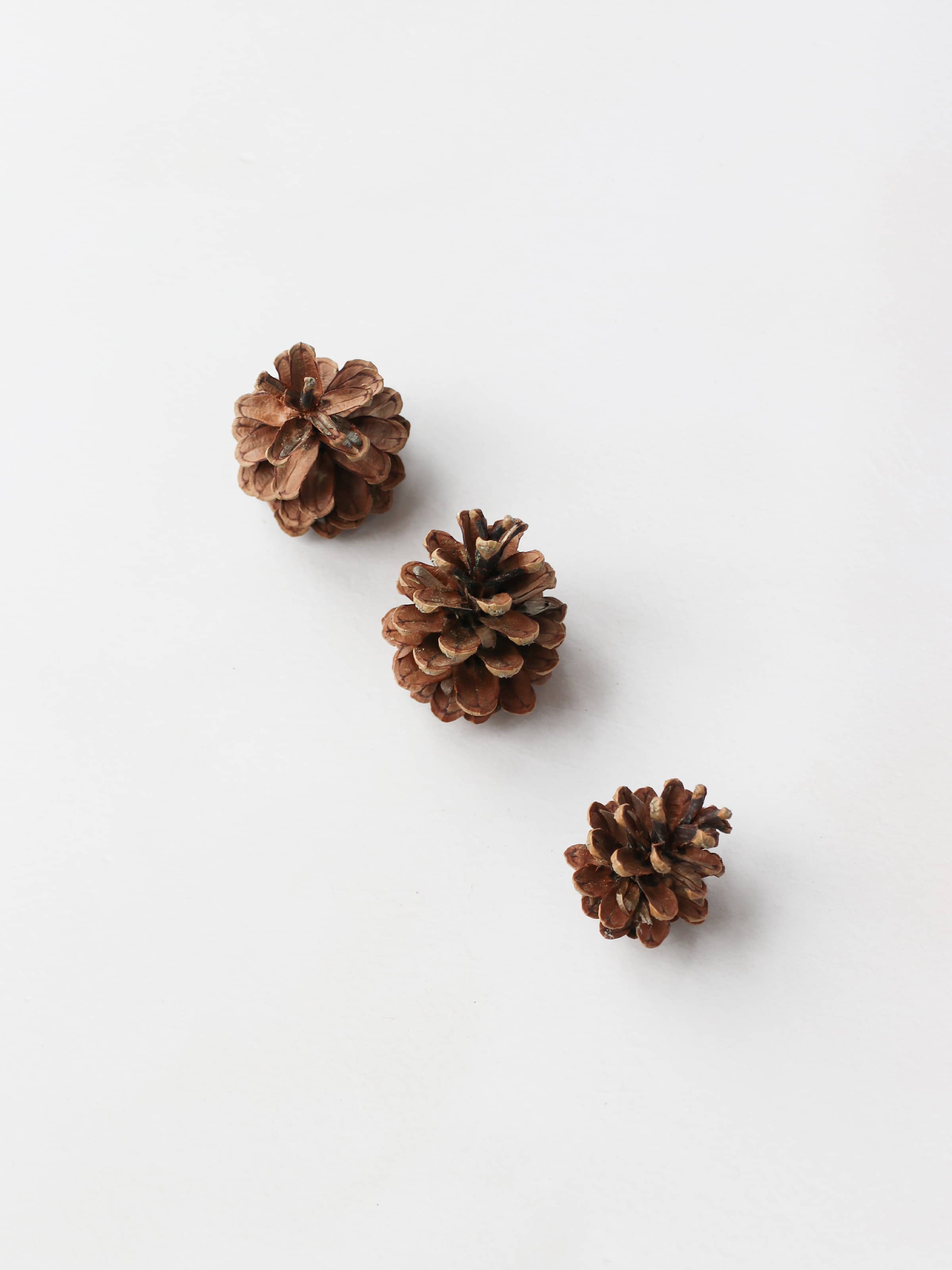Three brown pine cones for Christmas wreath making, sitting in a diagonal row on a white surface.