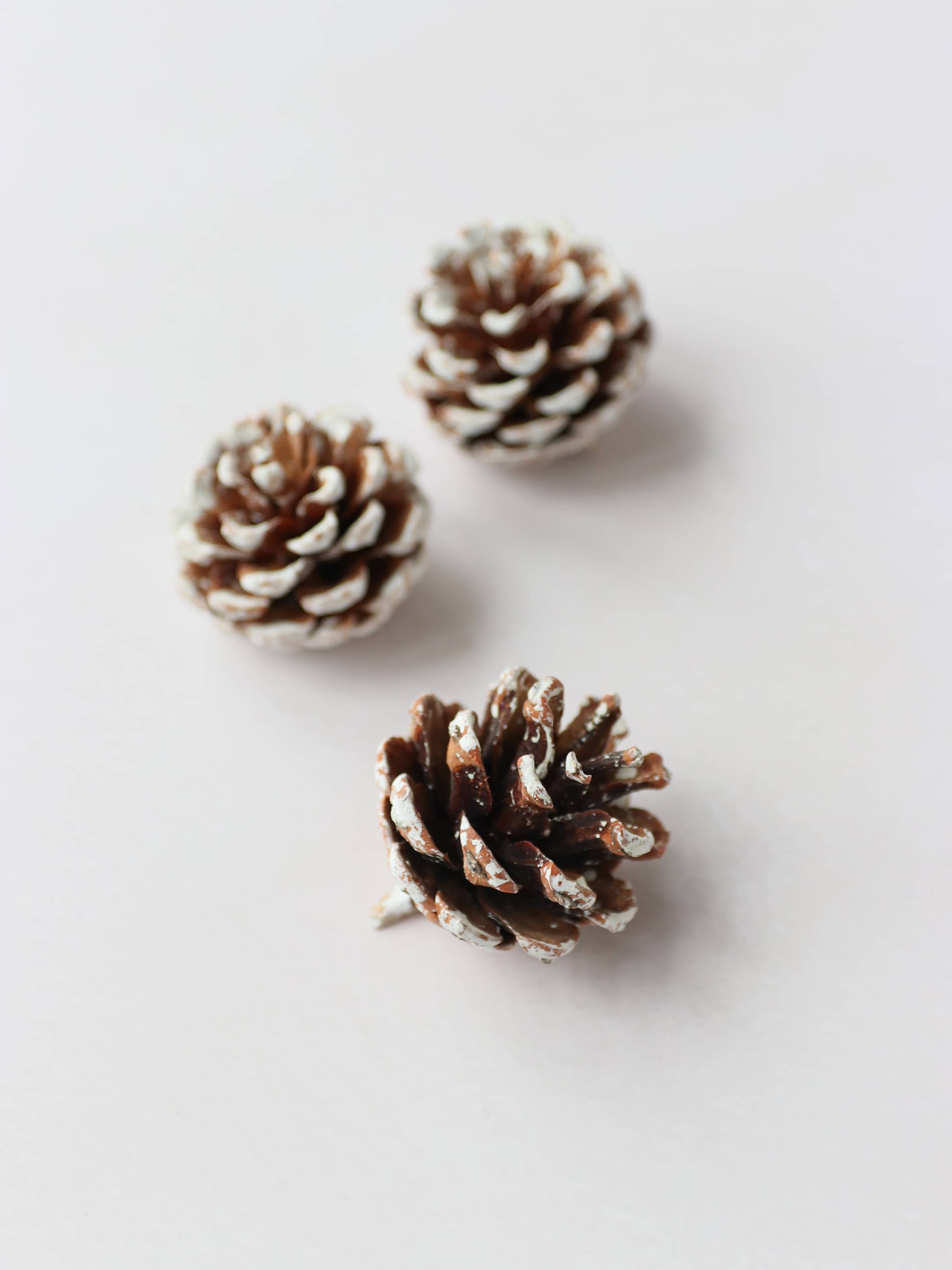 Three snow covered pinecones, sitting on a light neutral background.