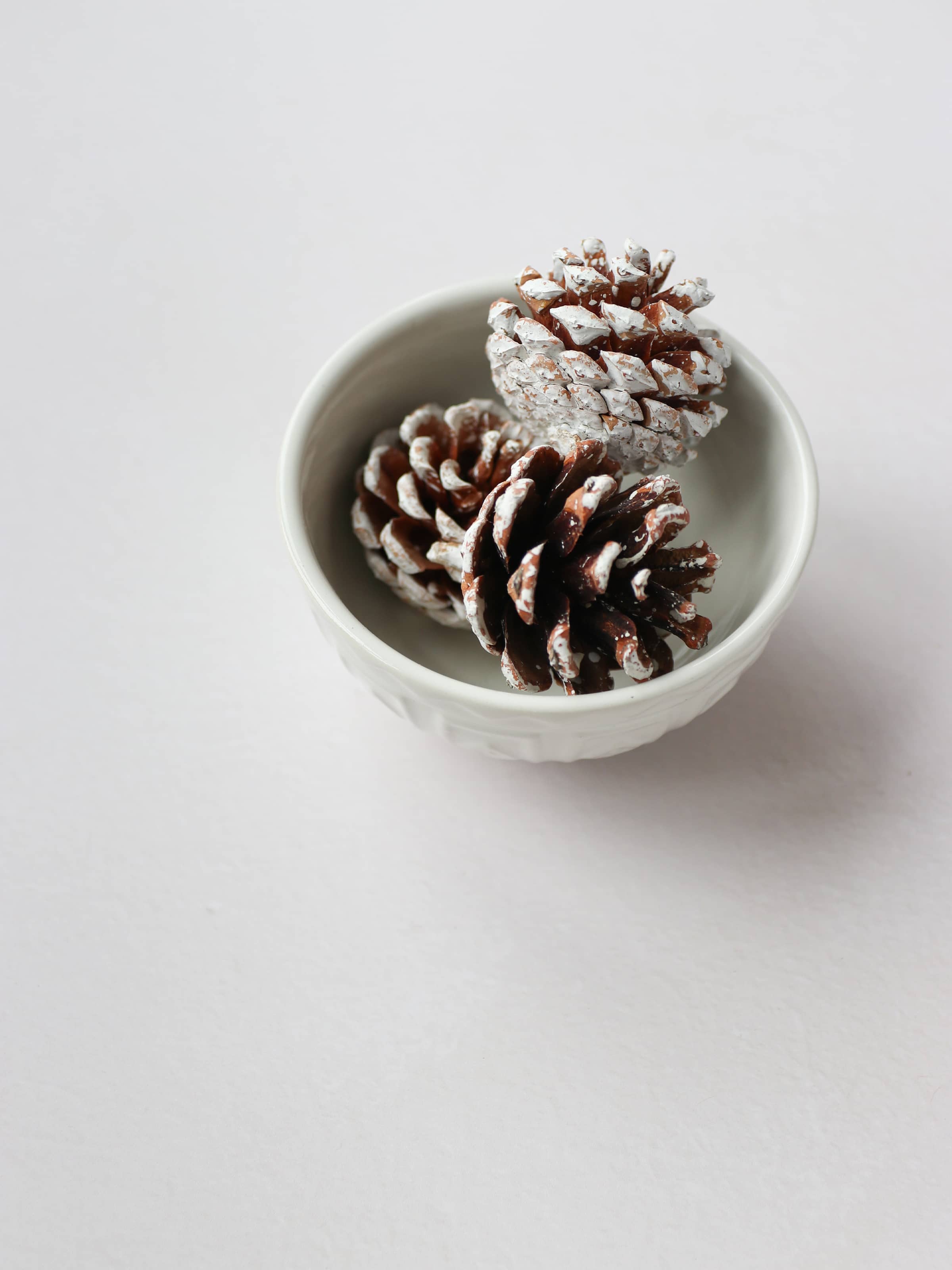 Three snow covered pinecones in a small cream bowl, sitting on against a light neutral background.