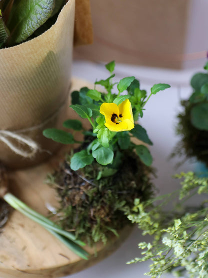 DIY Spring Easter Wreath Making Kit - Yellow