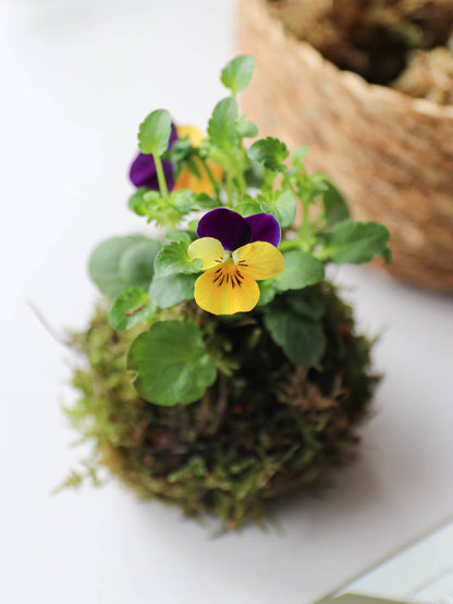 DIY Spring Easter Wreath Making Kit - Yellow